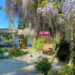 Wisteria Guest House